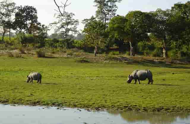 Assam Mein Jorhat dekhne ke liye 5 interesting scenes